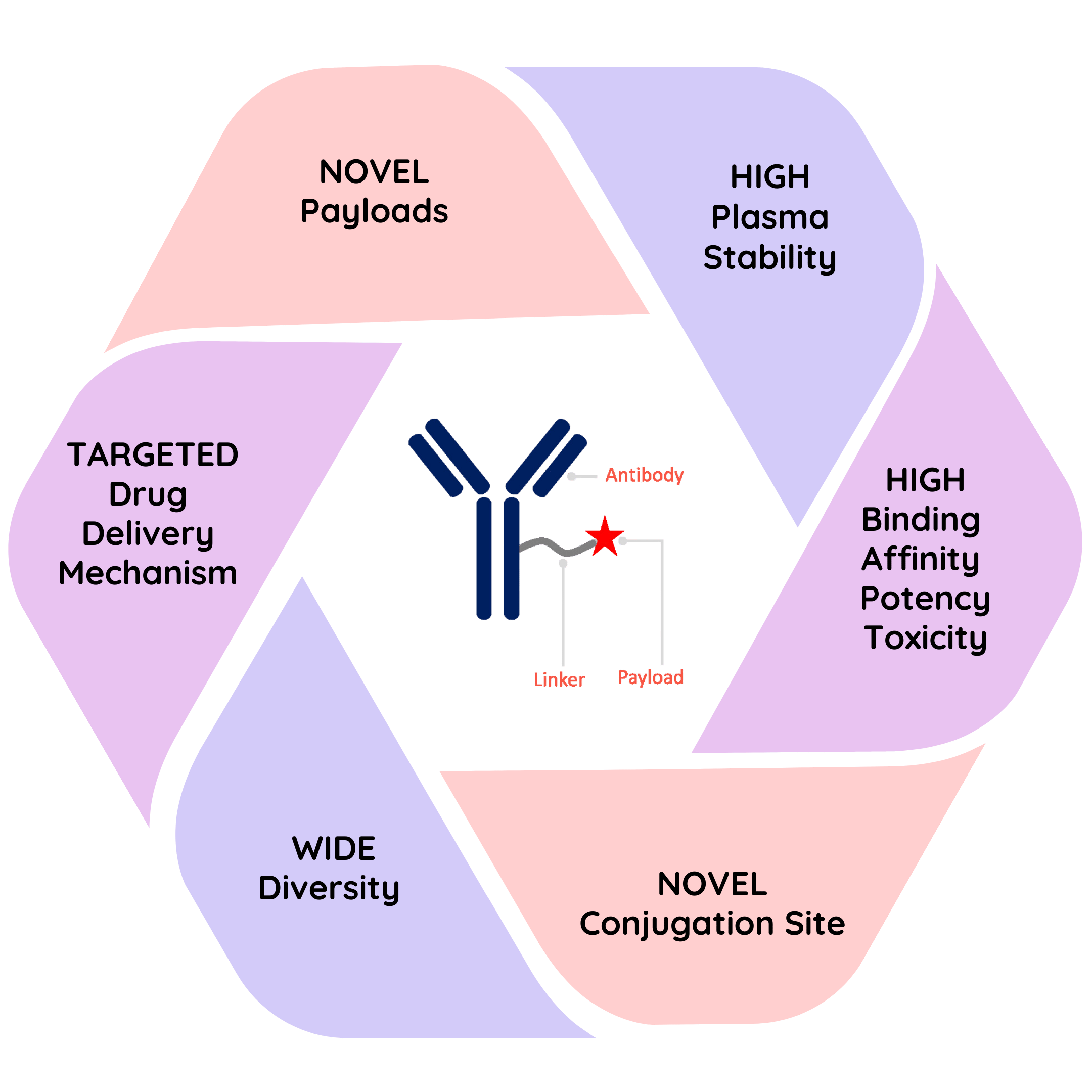 Committed To Affordable Oncology Solutions And Effective Human Care